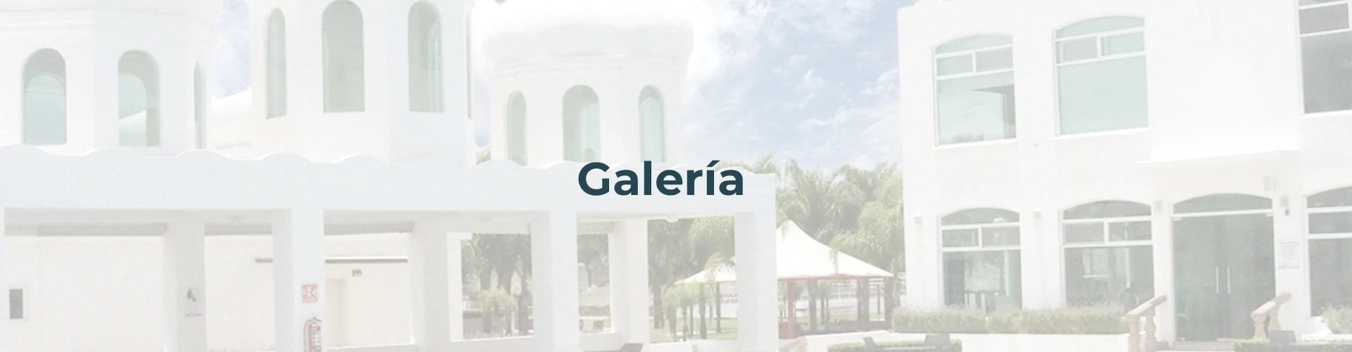 Galería San Miguel